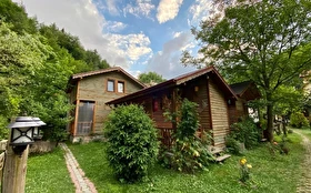 Tümü