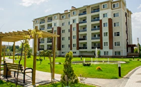 Tümü