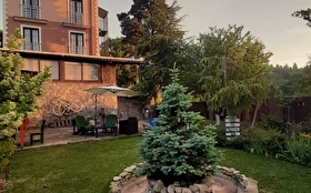 Tümü