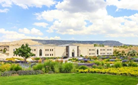 Tümü