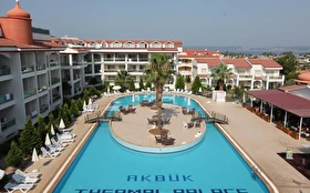 Tümü
