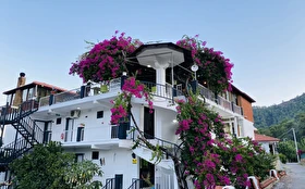 Tümü