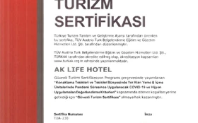 Genel