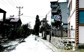 Genel