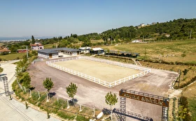 Aktivite & Eğlence