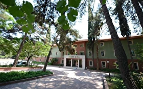 Tümü