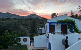 Tümü