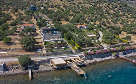 Tümü