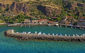 Tümü