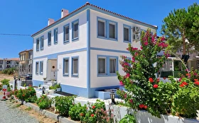 Tümü