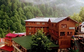 Tümü