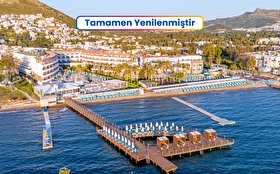 Tümü