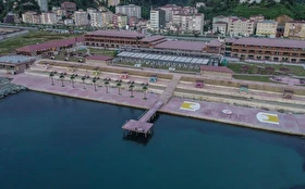 Tümü