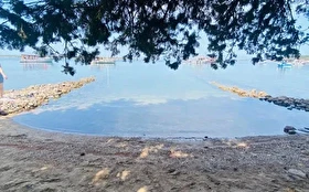 Tümü
