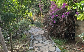 Otel Dışı