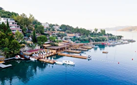 Tümü