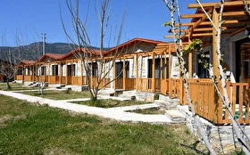 Tümü