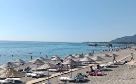 Tümü