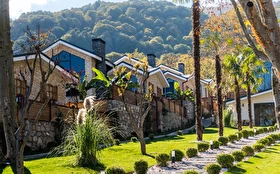 Tümü