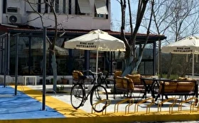 Tümü