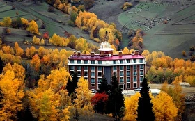 Tümü