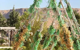Otel Dışı