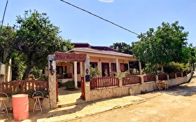 Tümü