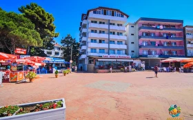 Tümü