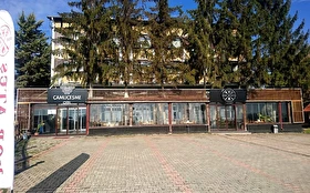 Tümü