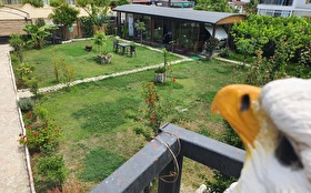 Otel Dışı