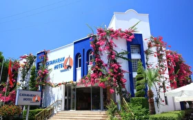 Tümü