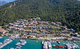 Tümü
