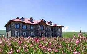 Tümü