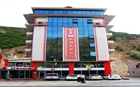 Tümü