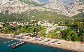 Tümü