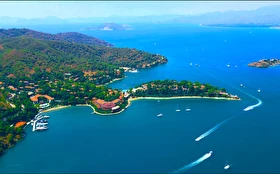 Tümü