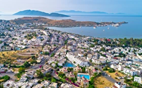 Tümü