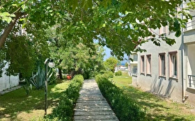 Tümü