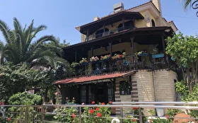 Tümü