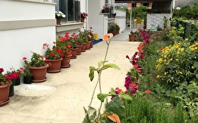 Otel Dışı