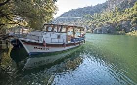 Tümü