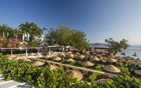 Otel Dışı