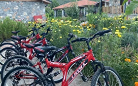 Aktivite & Eğlence