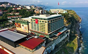 Tümü