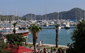 Tümü