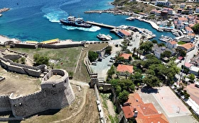Tümü