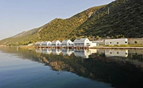 Tümü