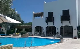 Tümü