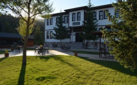Tümü