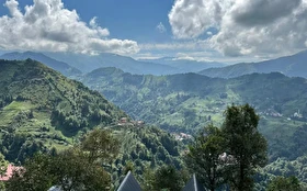 Tümü